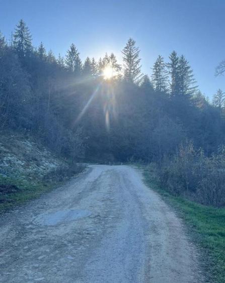 Teren intravilan, 20000 mp, zona Manastirea Humorului - 4