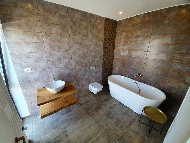 Proprietar - Single 4 camere, 330 mp curte compacta, living 40 mp - 11