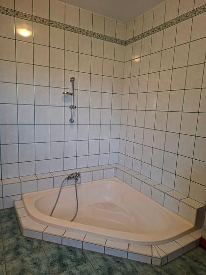 Langa Parc Padurice, pentru locuit sau afacere - 16