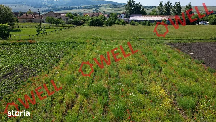 Teren de 900 mp, în Central