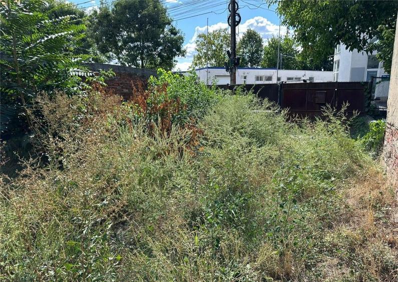 Ideal Afacere 3 Cladiri 2 Fronturi Stradale - 2