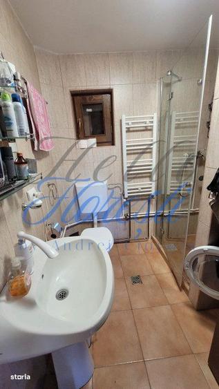 Cabana pe 2 nivele, 1600 mp teren, garaj, zona Rasca - 10