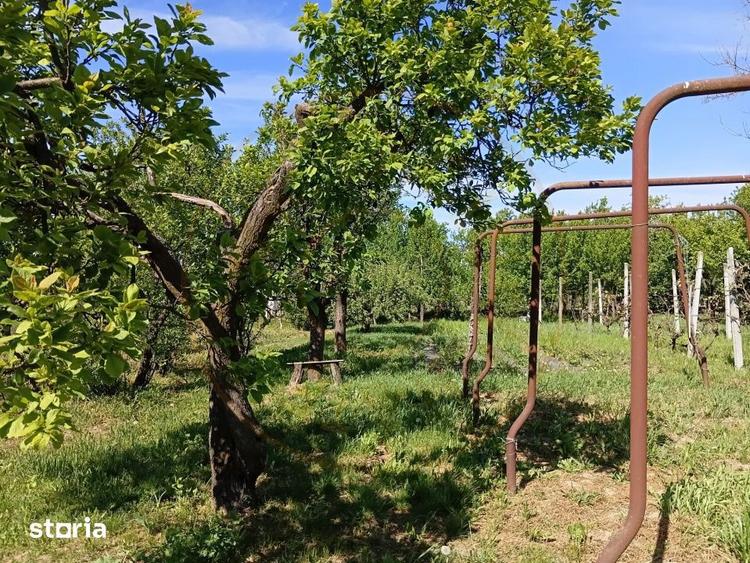 De Vanzare Casa Culciu Mare Satu Mare - 5