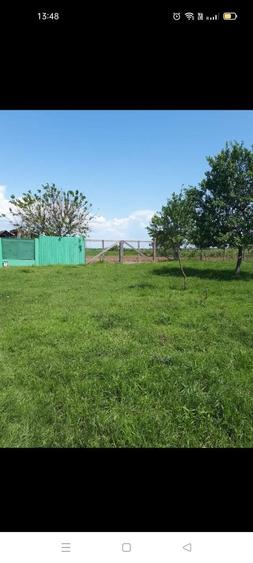 Vand casa cu gradina - 8