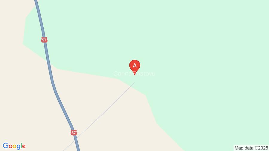 Casa si teren 5600 mp cu vedere la dunare Casa si teren 5600 mp cu vedere la dunare