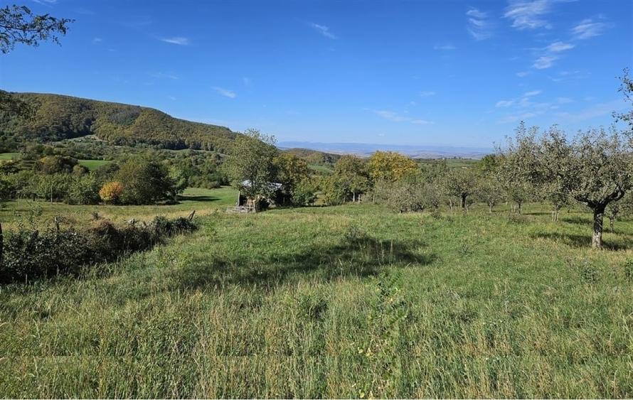 Teren Bucium-Dobrovat 3e metru! - 1