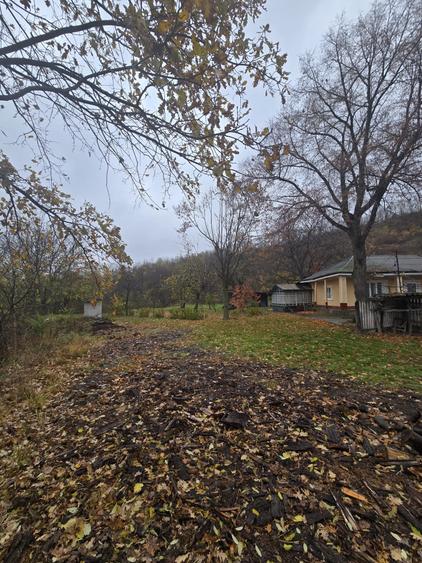 Casa batraneasca cu teren 1000mp - 5