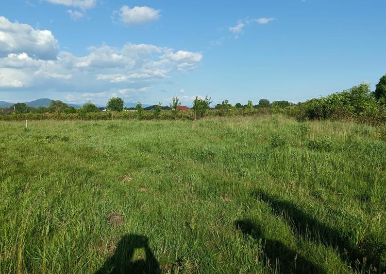 Merisor, 54 ari teren - 3