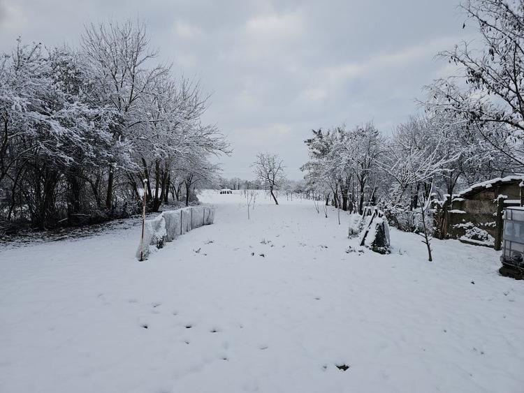 Spațiu comercial cu o suprafață de 150 mp, Suplacu de Tinca, Bihor - 4