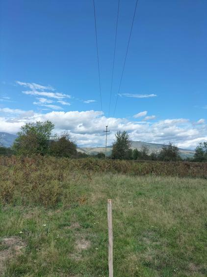 Teren de vanzare Runcu Gorj - 3