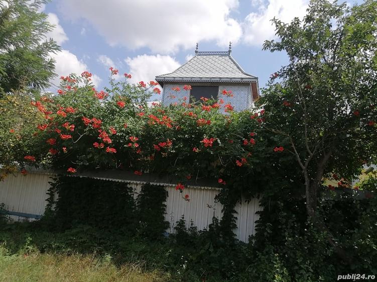 Casa in Bacau Dealul Morii - 2