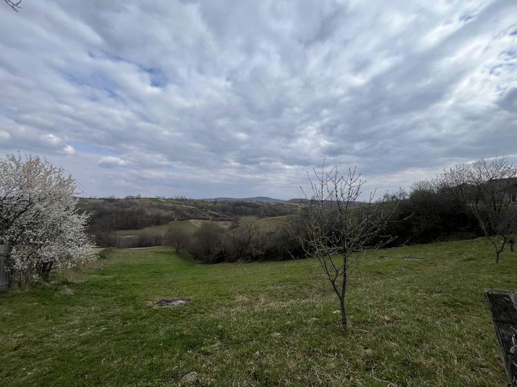 Vand teren intravilan - 9