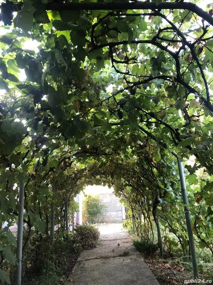 Vand casa, comuna Tiganesti, judetul Teleorman - 8