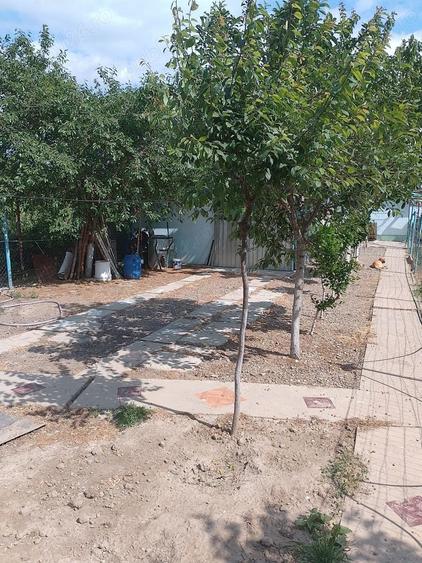 Casă cu 2 camere cu Teren 500 Mp în