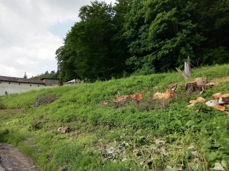 Teren Busteni, 3.999 mp, deschidere DN 1 aprox. 113 m, comision 0% - 7