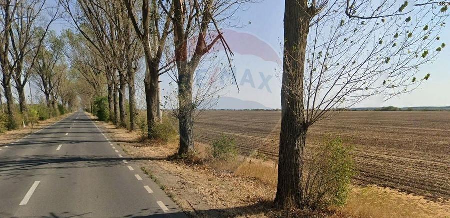 Teren intravilan 7.9 ha, Afumati, deschidere 120m Soseaua Stefanesti - 5