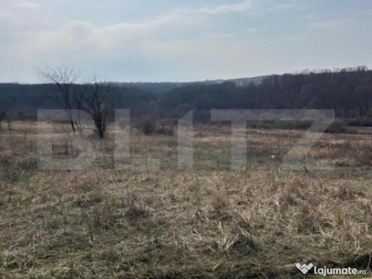 Teren intravilan de vanzare, 9783 mp, Paleu zona Iacului - 2