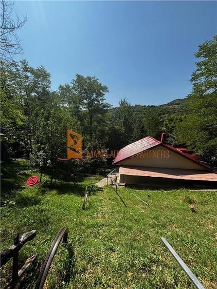 Ansamblu cabanute zona Cozieni - 22