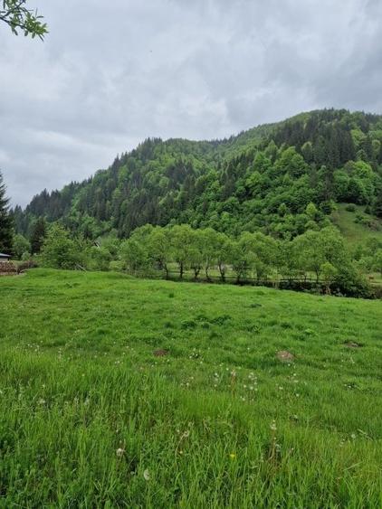 Teren intravilan - Rucar - Satic - 1775 mp - la strada principala - deschidere - 14