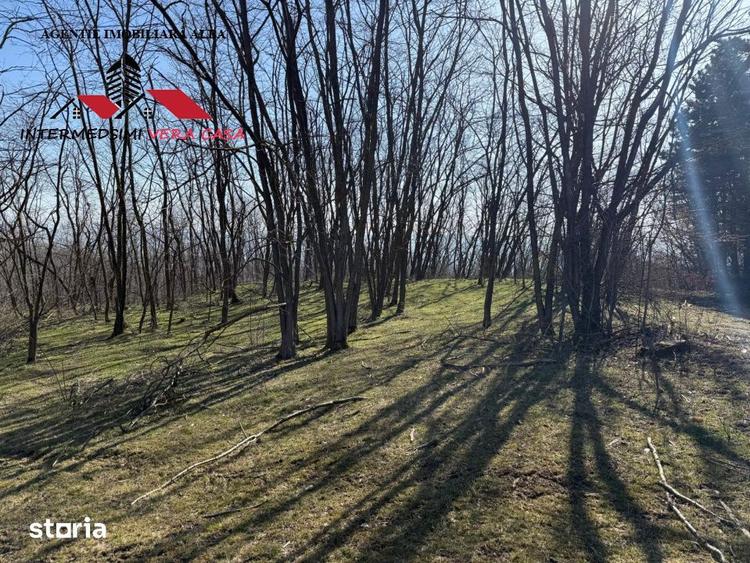 Teren extravilan 28900 mp de vanzare in Stauini Jud Alba - 2