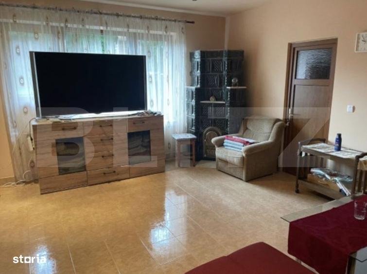 Pensiune deosebita in inima Muntilor Dacici investitie premium in - 4