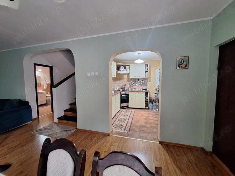 Vand vila in sat Rosu - 7