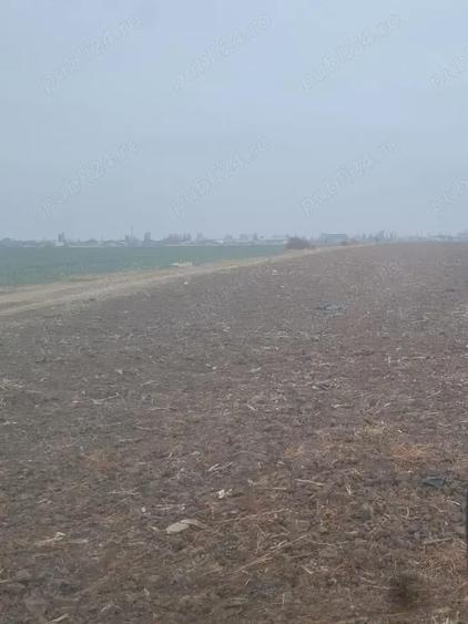 Vanzare Teren intravilan 5000mp Magurele - 8