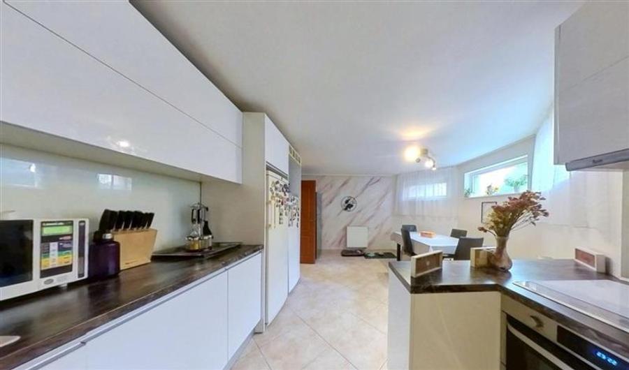 Film&3D! Confort,stil si functionalitate:Vila rezidential/ business,Livezeni,Mur - 18