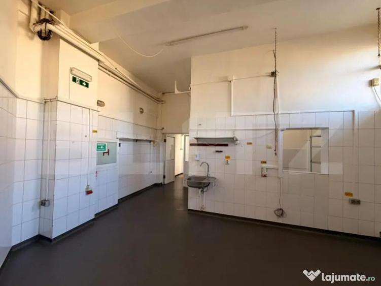 Spa?iu comercial de inchiriat, Centrul Vechi Craiova, Zona - 9