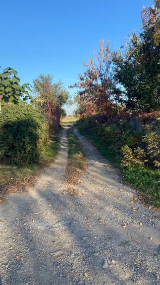 Butimanu – Teren ideal pentru casă, 900 mp, deschidere mare 38 m – 11 euro - 3