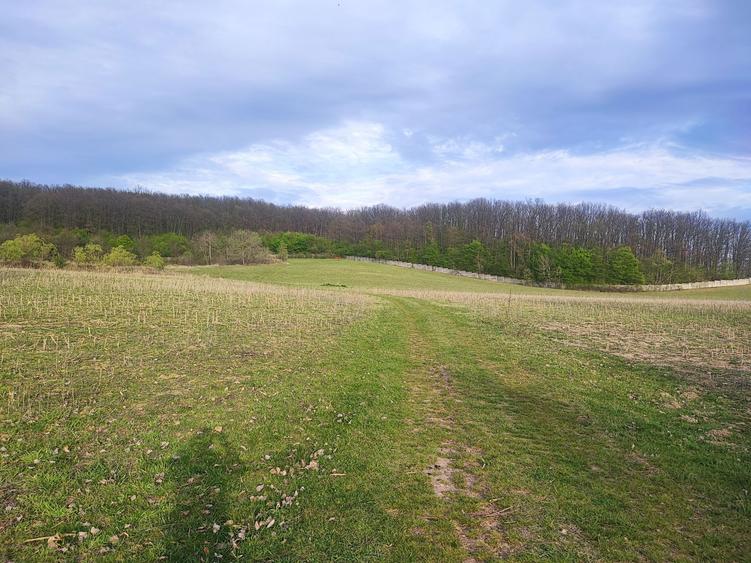 Teren imprejmuit 6,40 ha - 5