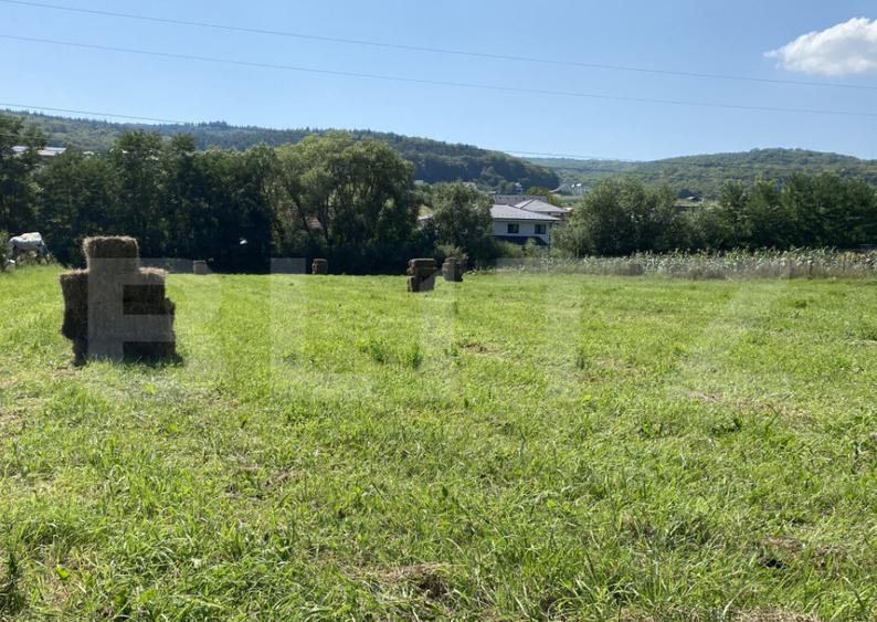 Teren intravilan 2950 mp, front 33 ml, Popesti - 2