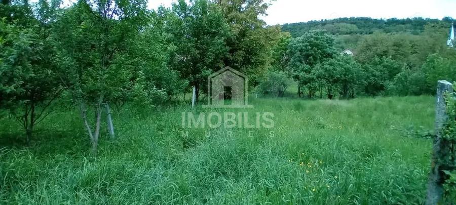 Teren intravilan | Budiu Mic | 994 mp - 1