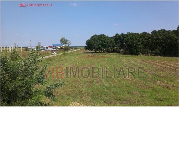 Craiova | Teren 17.400 mp | Deschidere 350 ml la DJ 552A | Între păduri de steja - 3