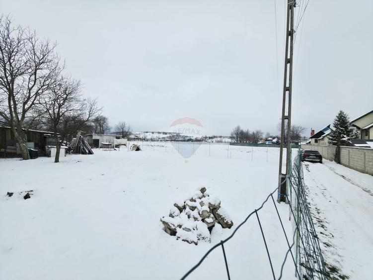 Teren 325mp Dobreni / Strada LASCAR CATARGIU - 6