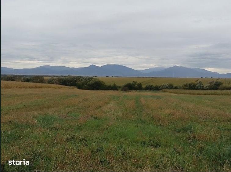 Teren intravilan agricol. - 4