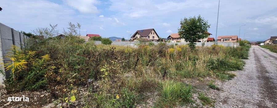 Teren in suprafata 800 mp situat in Harman, zona de case! - 5