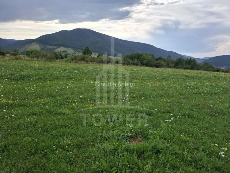 Teren la Orlat cu vedere spre munti