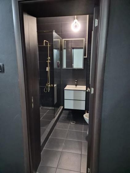 De vânzare Vilă individuala 11 camere curte proprie Parcul Carol - 10