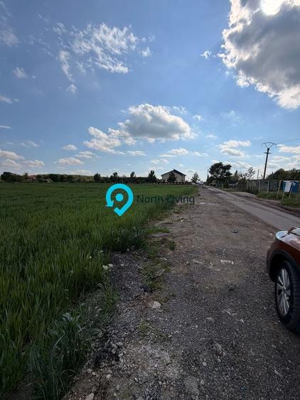 Teren Snagov - Cioflinceni | Drum amenajat | Aproape de Padure si Lac - 5