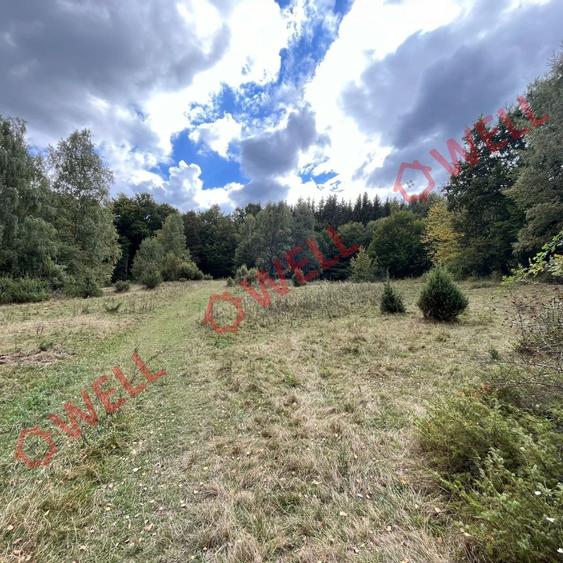 De vânzare o pășune la 5 km de Cernat! - 2