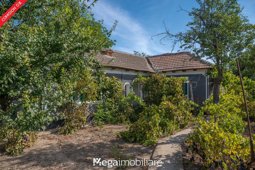 ✅ Stradă asfaltată: O oază de liniște la doar 20 minute de Constanța - 12