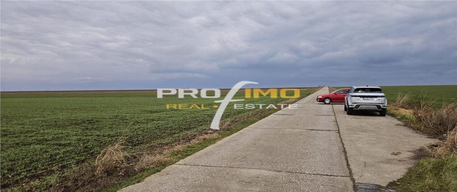 Plaja Corbu-Teren 4200mp. la numai 8 euro /mp. Soseaua asfal - 8