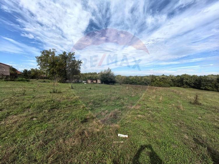 Teren 5,600mp Finteusu Mic / Strada Principala - 10