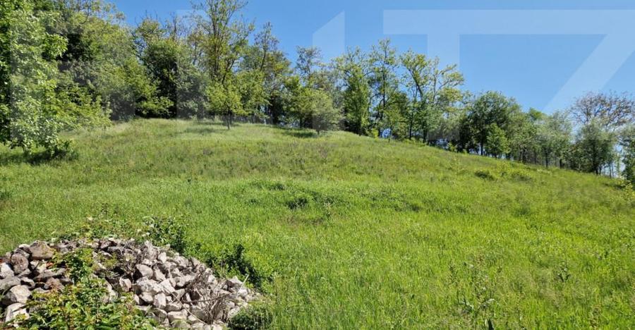 Casa de Familie | 175 mp + Curte 3166 mp | Tatara?ti, B - 3