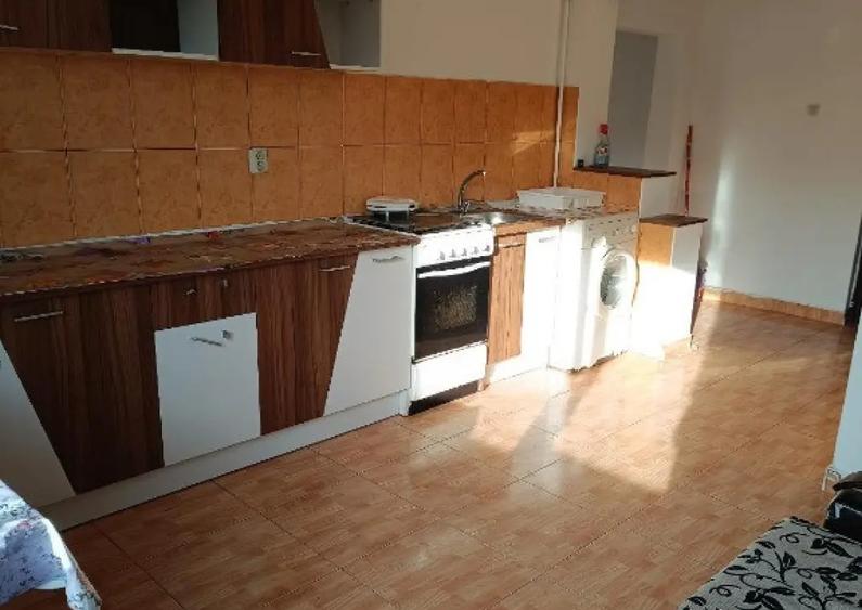 Garsoniera ( ap. 1 camera) Dragos Voda - 4