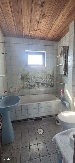 Baia Sprie, 2 case in aceeasi curte - 15