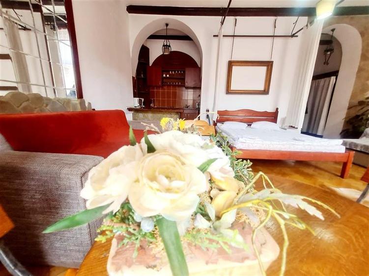 Preluare afacere pensiune administrare in regim turistic, Centrul Istoric - 11