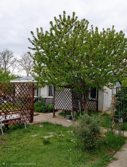 Casa Modernă + Casă de Oaspeți în Chișcani/ teren 1314 mp/panouri fotovoltaice - 2