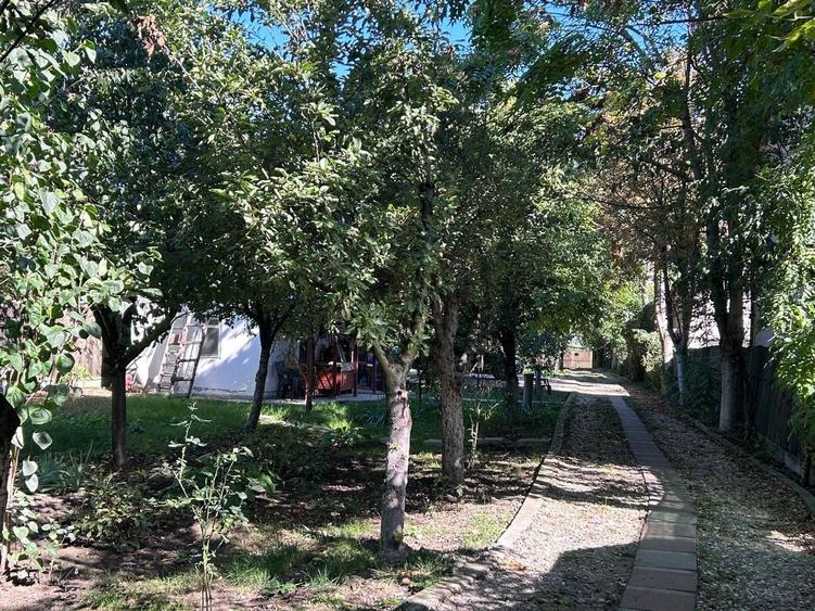 Casă individuală Buftea, 3.162 mp teren, ieșire spre lac - 44